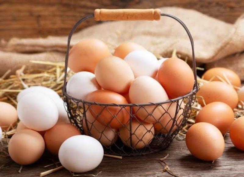 سعر البيض في السوق