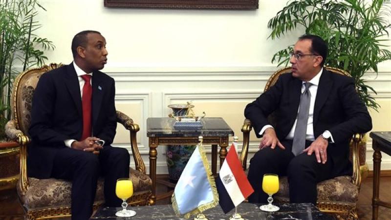 جلسة مباحثات موسعة بين مصر والصومال 
