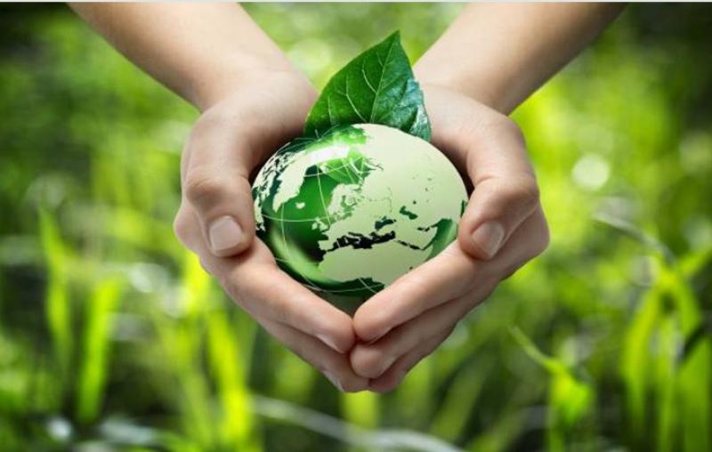 الأمونيا الخضراء