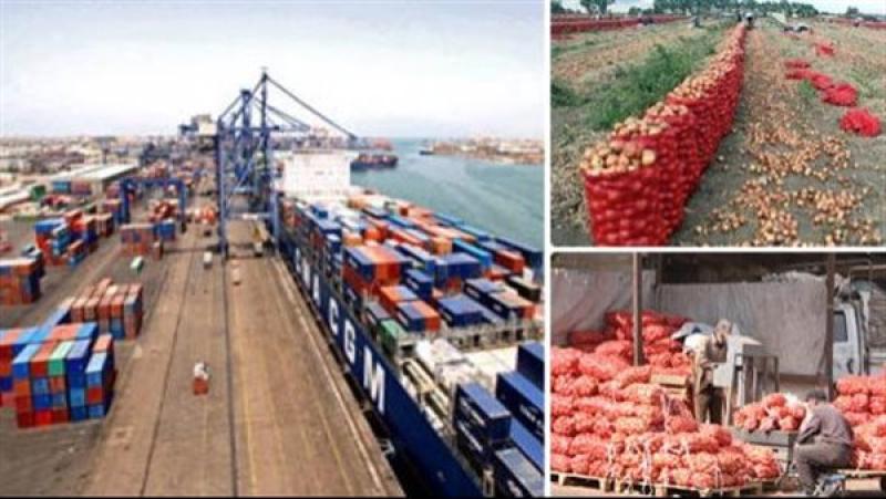 صادرات مصر من السلع الزراعية