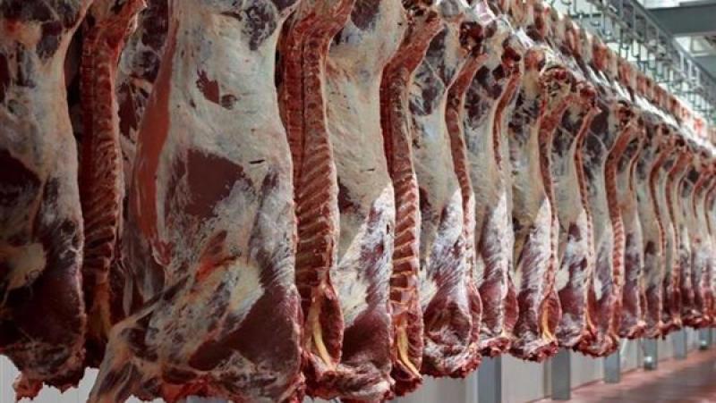 أسعار اللحوم بمنافذ وزارة التموين