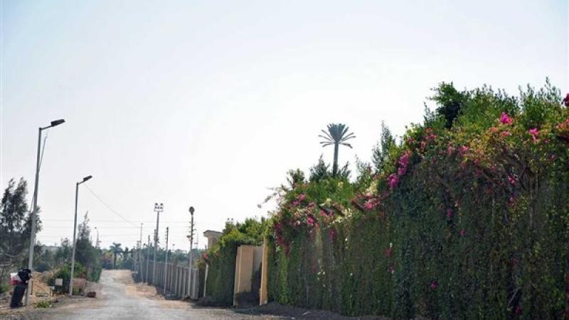 منطقة الثورة الخضراء