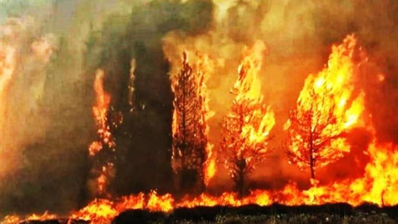 حوادث حرائق الغابات