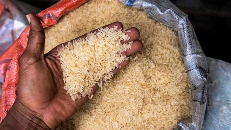  الأرز في الهند 