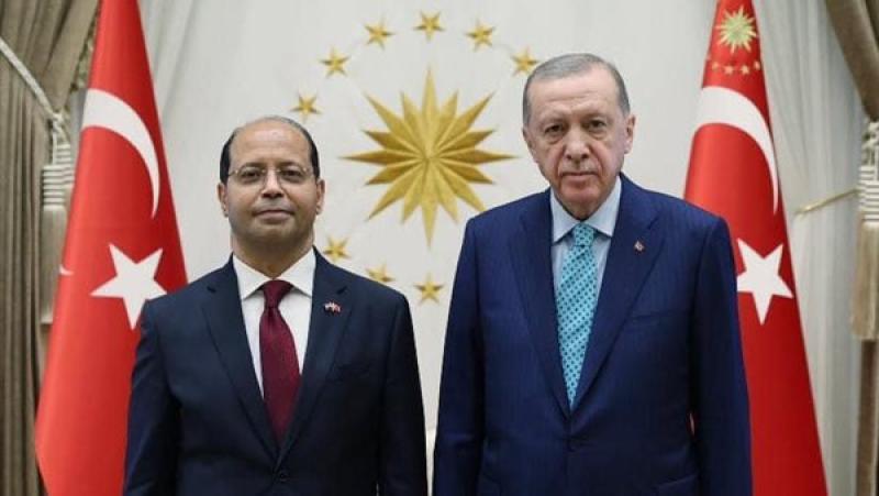 سفير مصر في تركيا وأردوغان