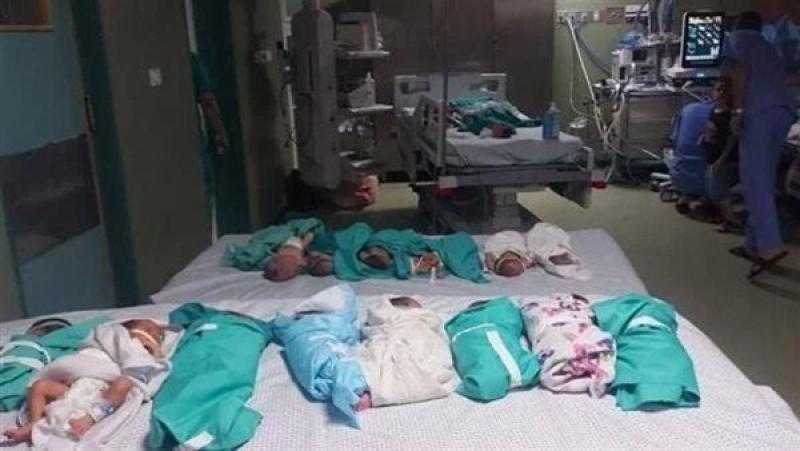 استلام الأطفال حديثي الولادة من مستشفيات غزة