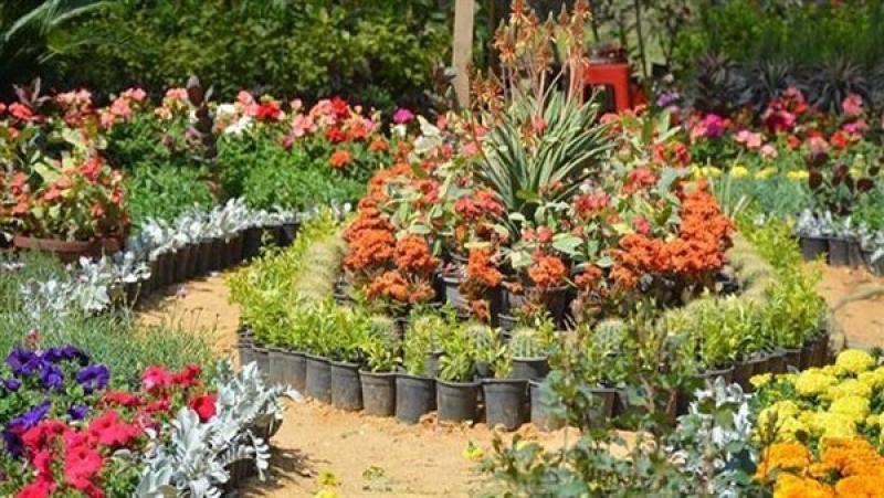 موعد شم النسيم