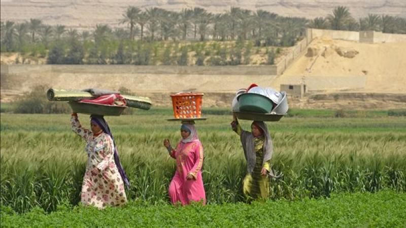 المرأة في مصر