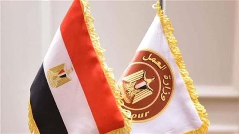وظائف وزارة العمل