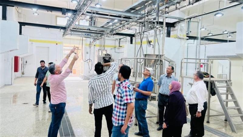 التنمية المحلية