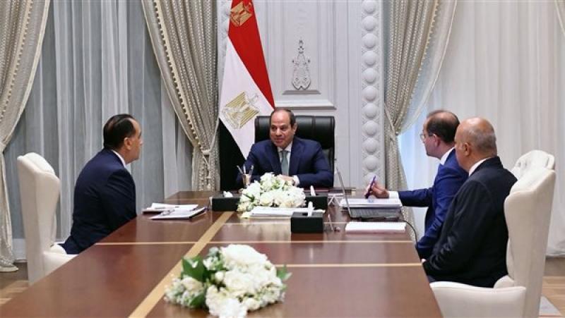 الرئيس السيسي ورئيس الوزراء ووزير المالية