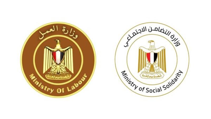 التضامن,العمل