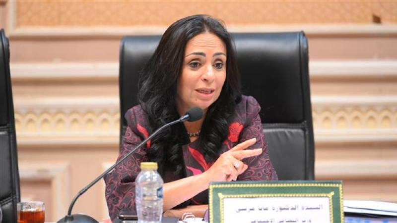 وزيرة التضامن