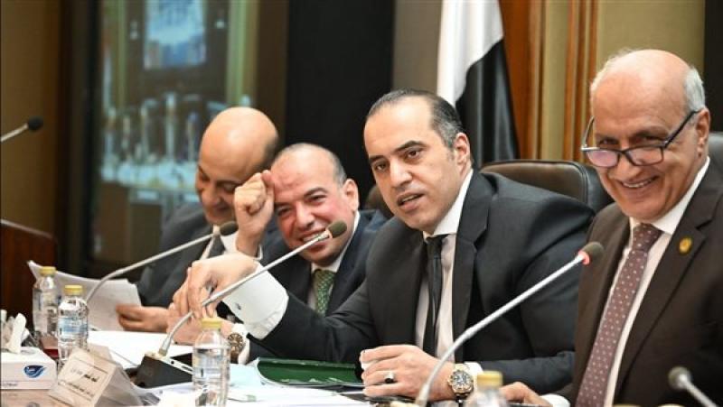وزير الشئون النيابية