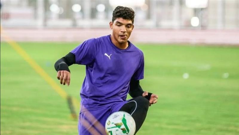 محمد صبحي