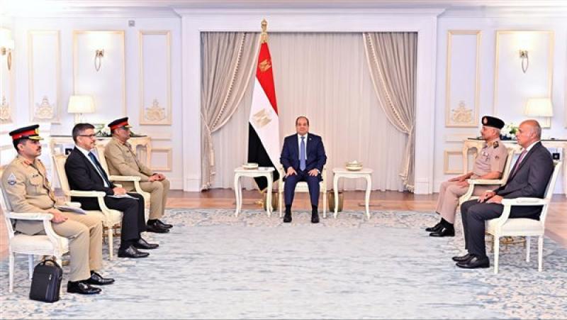الرئيس السيسي خلال اللقاء