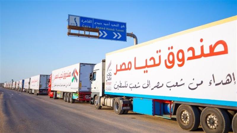 دور مصر بقيادة الرئيس السيسي