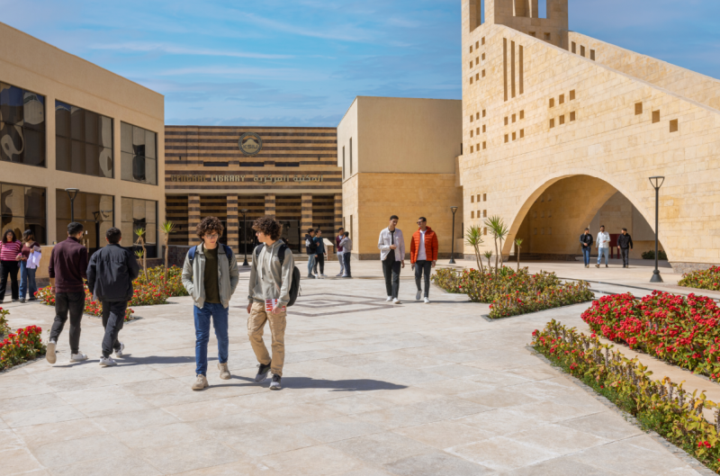 جامعة الملك سلمان الدولية
