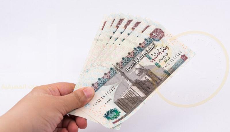 عائد الشهادات