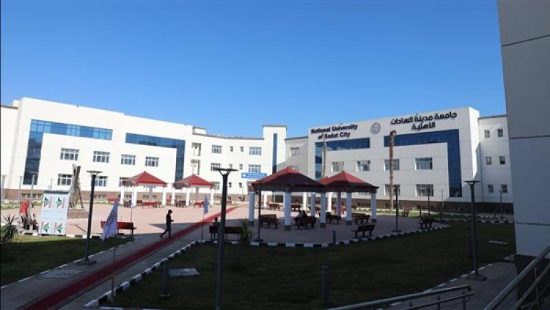 جامعة مدينة السادات الأهلية