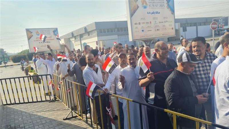 انتخابات النواب للمصريين بالخارج