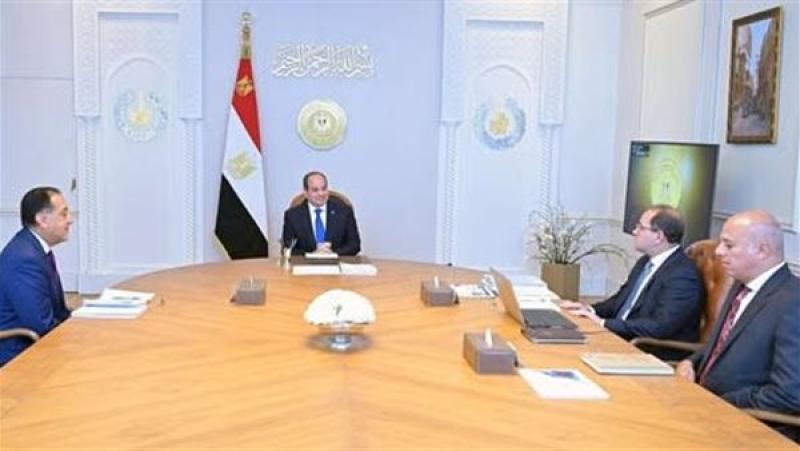 الرئيس السيسي خلال الاجتماع