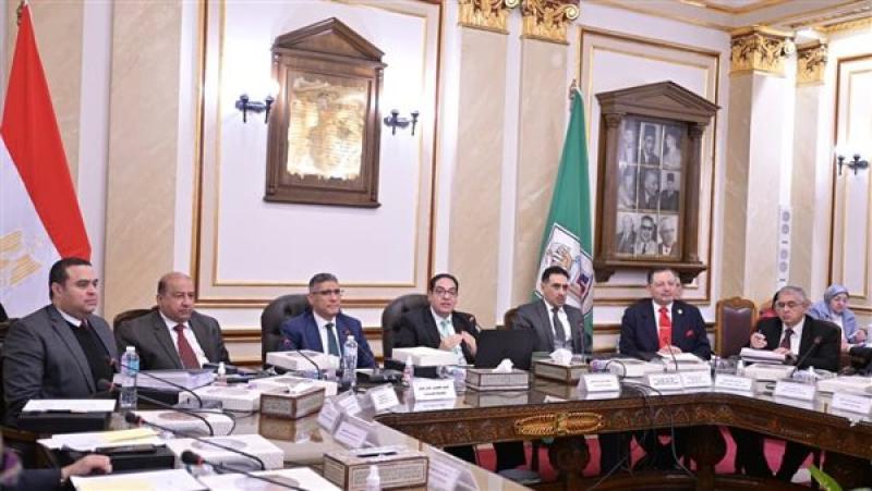 رئيس جامعة القاهرة