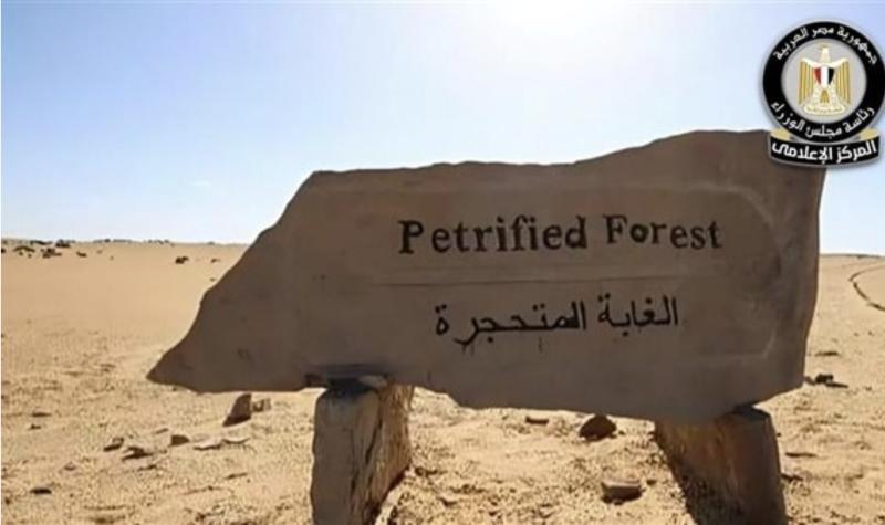 محمية الغابة المتحجرة