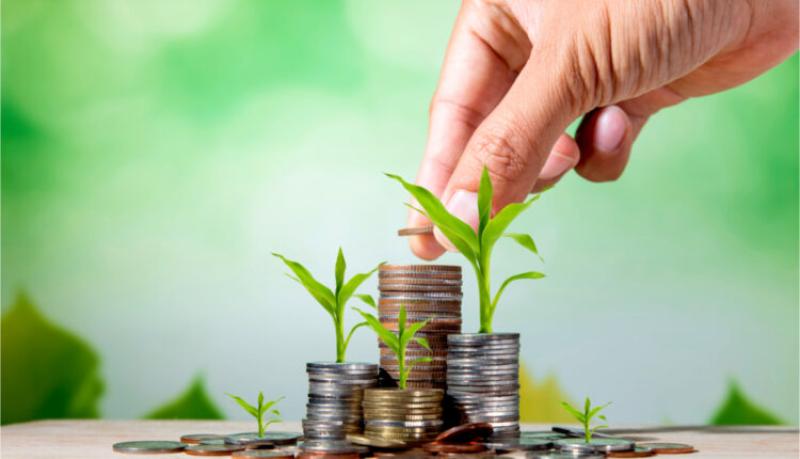 شهادات ادخار