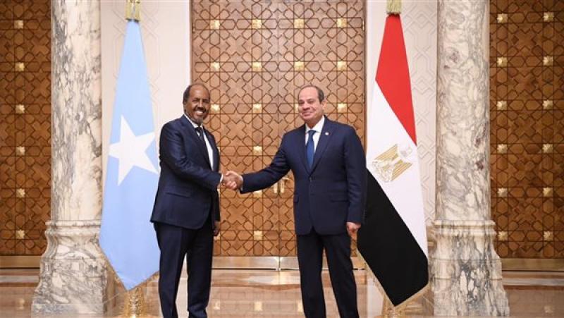 الرئيس السيسي,الرئيس الصومالي