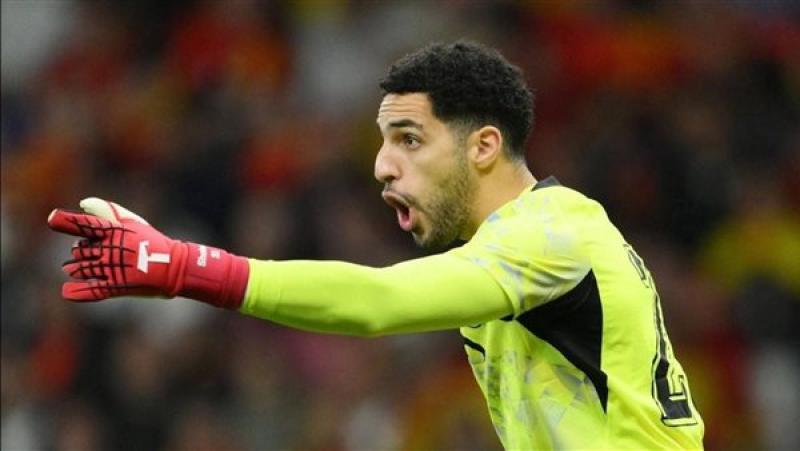 مصطفى شوبير