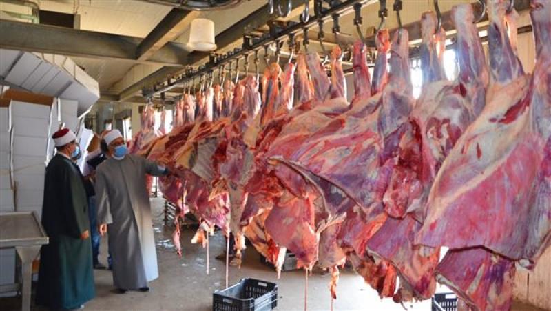 لحوم الأضاحي 