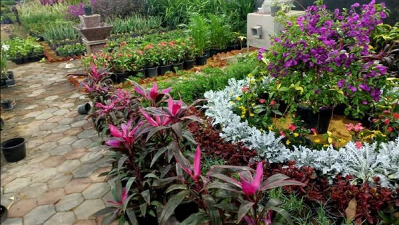 معرض زهور الربيع