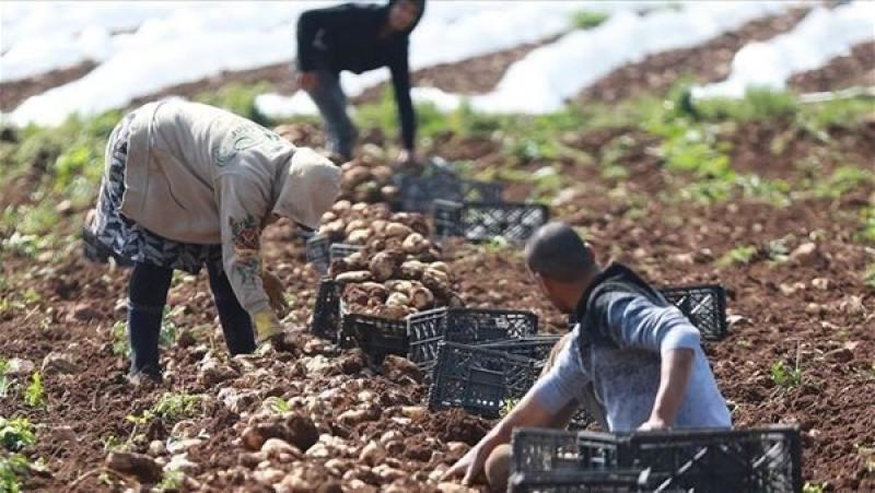 دعم الاقتصاد الزراعي