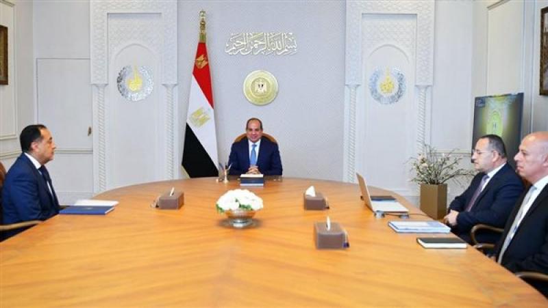 الرئيس السيسي خلال اللقاء