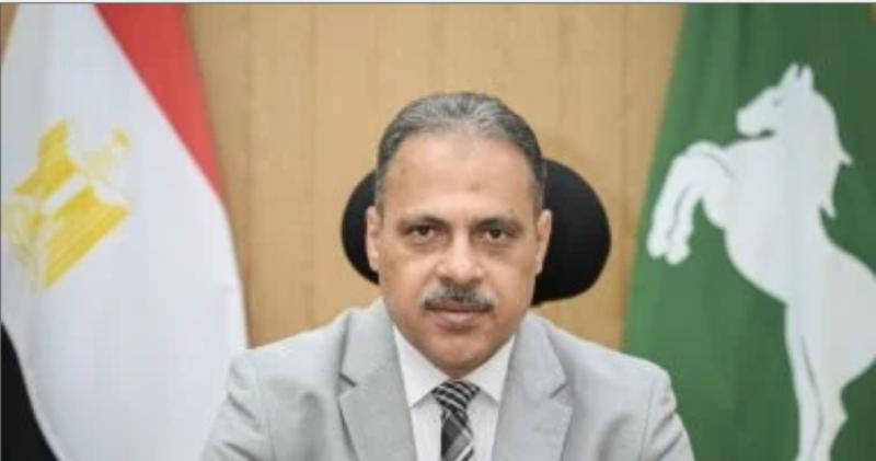 محافظ الشرقية